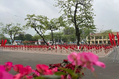 HÌNH ẢNH ĐỒNG DIỄN VÕ NHẠC VOVINAM CỦA TRƯỜNG TIỂU HỌC ĐỒNG PHONG